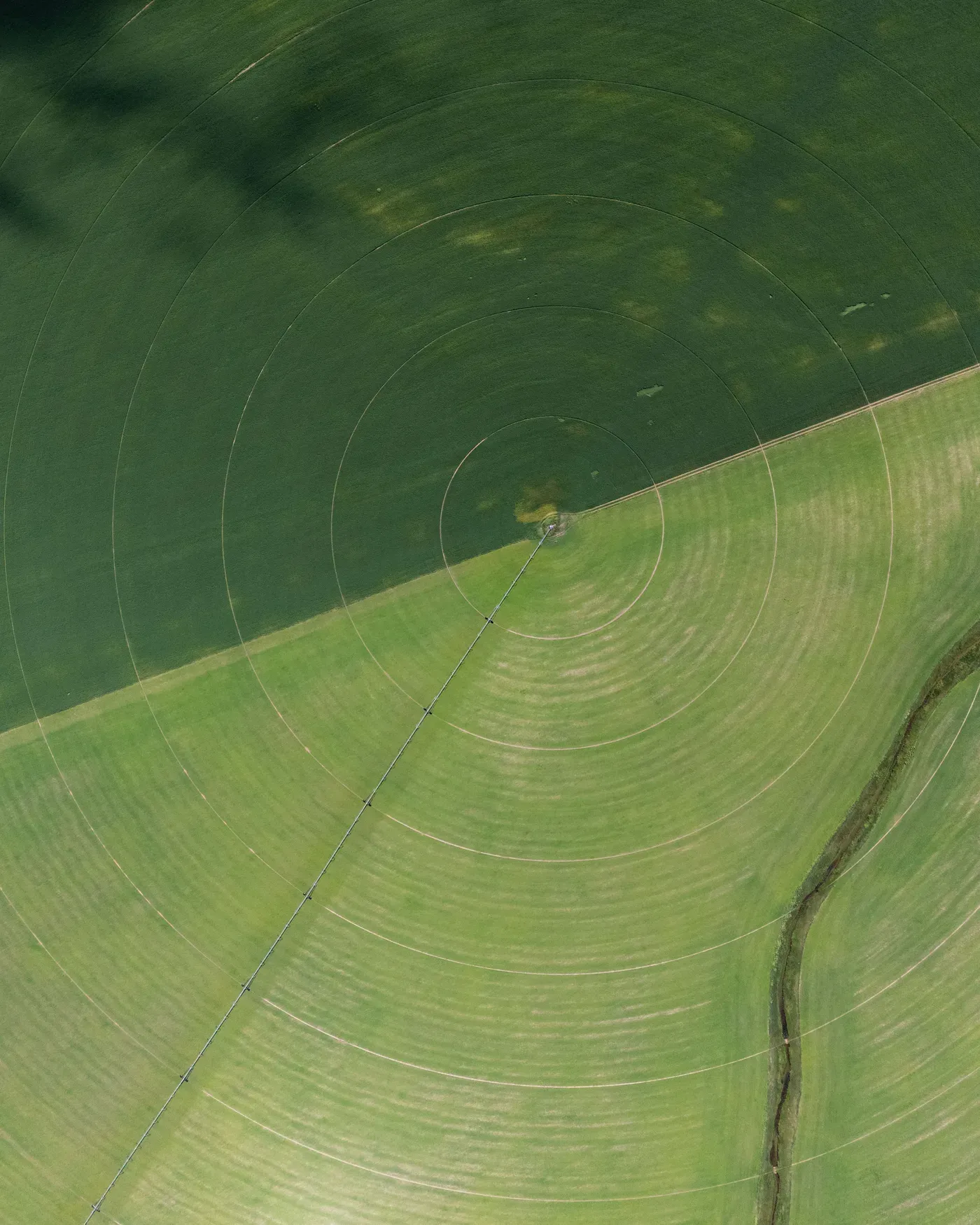 Farms & Agriculture